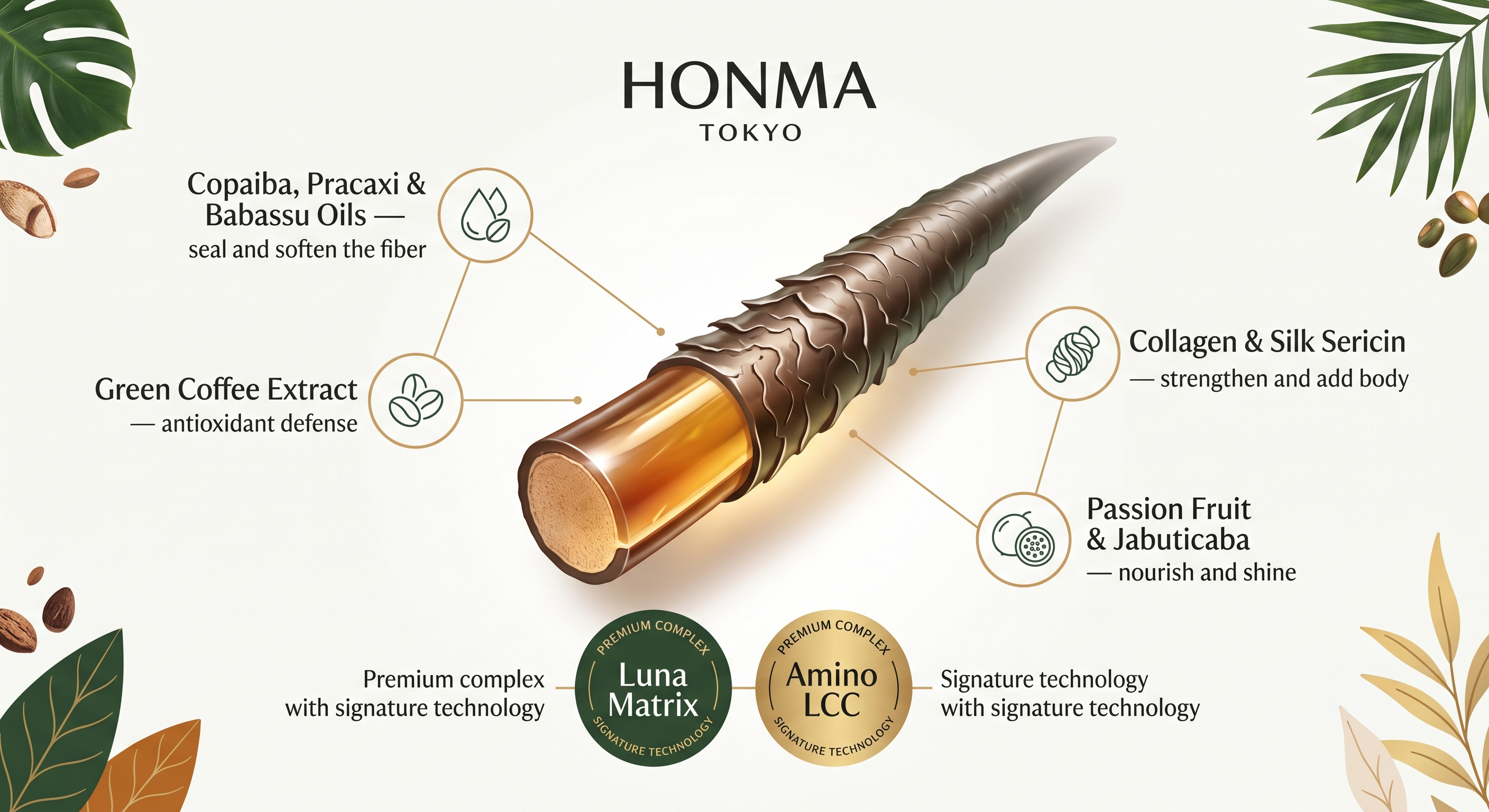 Honma Tokyo key ingredients infographic with Luna Matrix and Amino LCC signature complexes